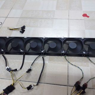 Fan thổi đít trâu