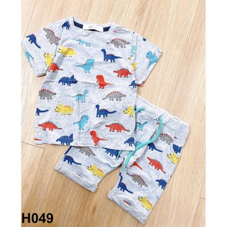 Bộ cotton khủng long bé trai