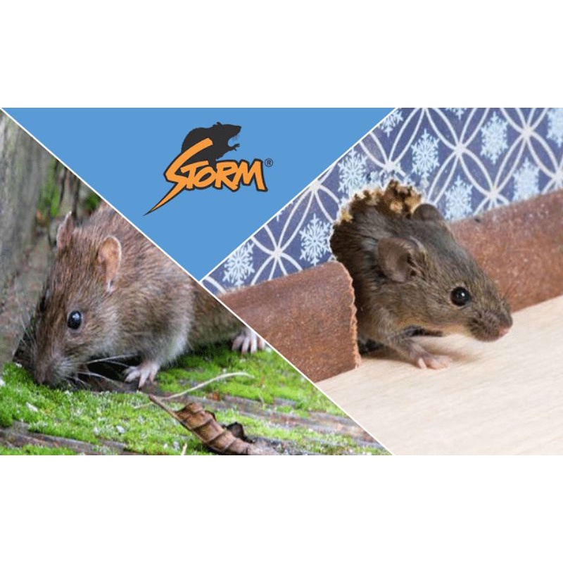 Combo 10 gói diệt chuột Storm (Gói 4 viên)