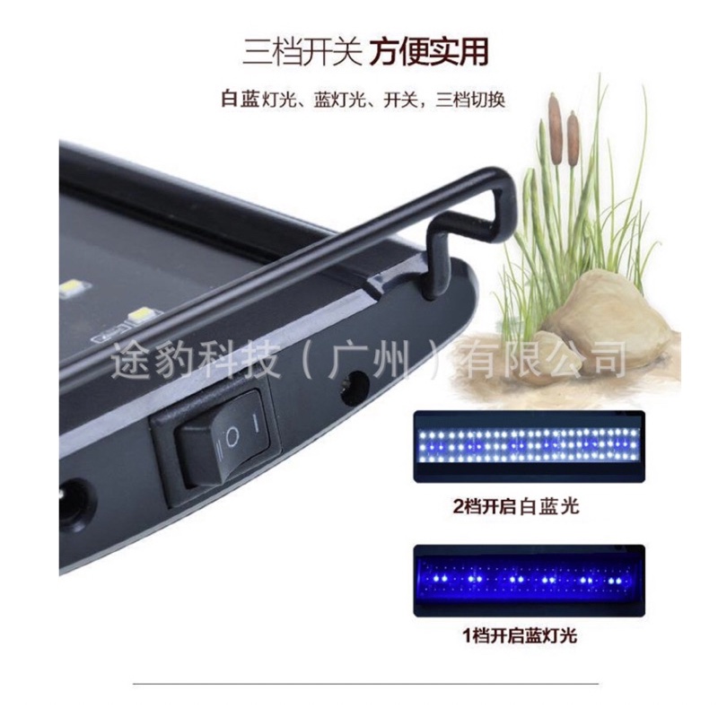 Đèn led cá biển