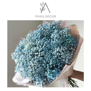 Hoa Baby Khô Decor, Phụ Kiện Chụp Ảnh Phong Cách Vintage