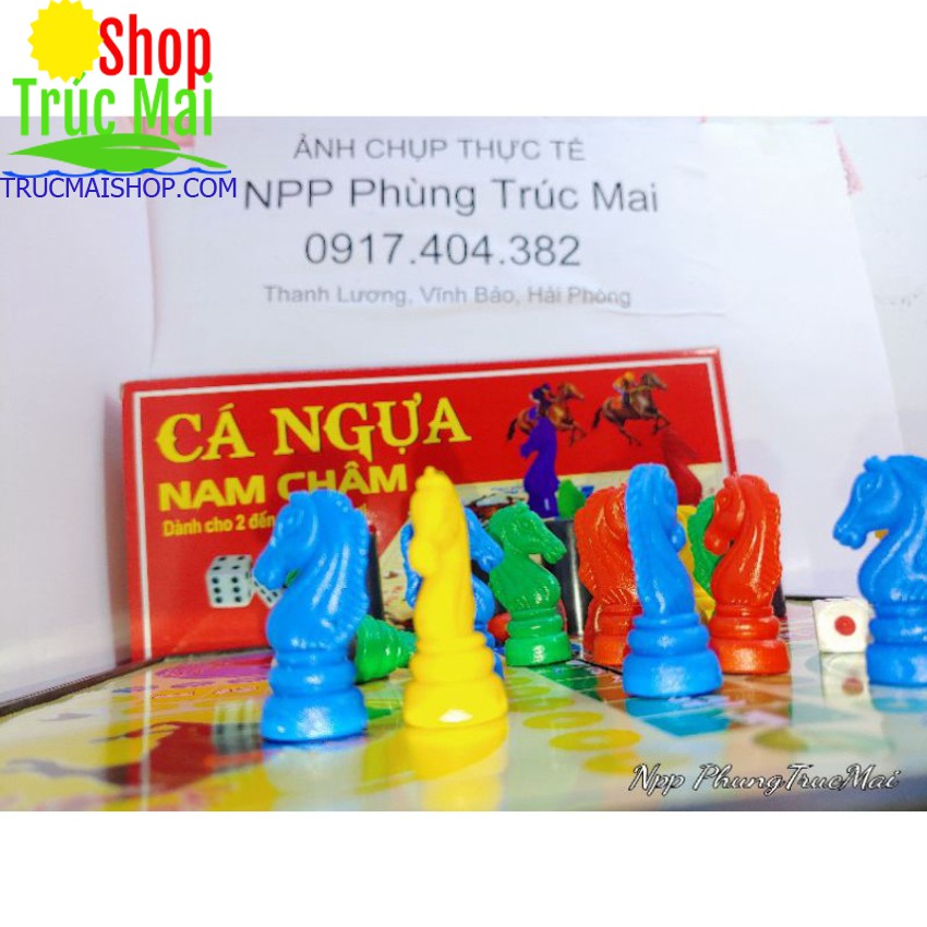 Cờ Cá Ngựa Nam Châm Cao Cấp