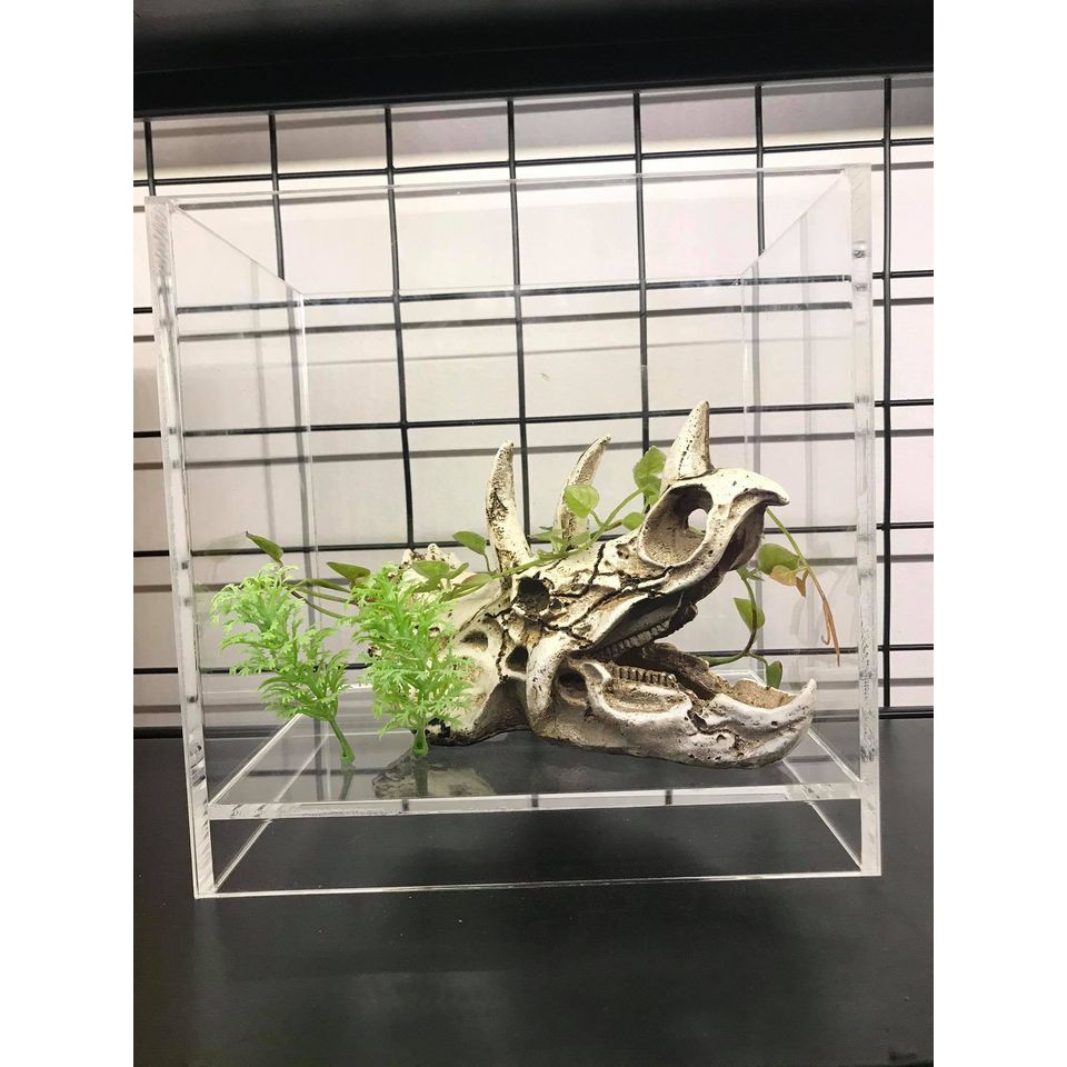 Hồ show cá/ bể cá mini/ hồ nâng đáy ACRYLIC cao cấp