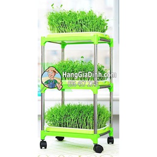 Bộ kê trồng cỏ lúa mì rau mầm 3 tầng 3 khay giá rẻ