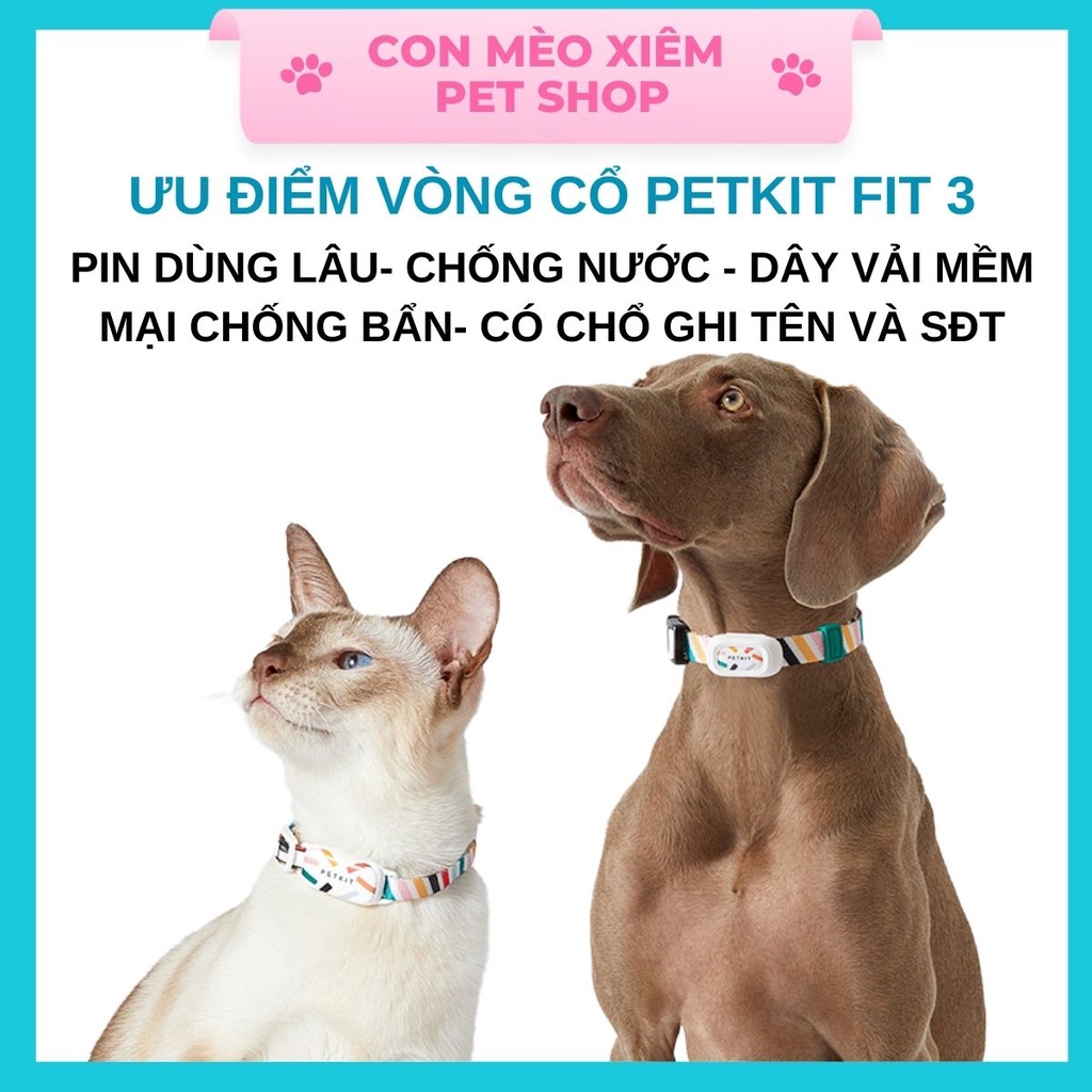 Vòng cổ Petkit cho chó mèo theo dõi sức khỏe Fit 3, phụ kiện công nghệ thú cưng Con Mèo Xiêm