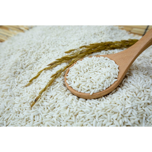 NẾP NGỖNG NGON 1KG | BigBuy360 - bigbuy360.vn