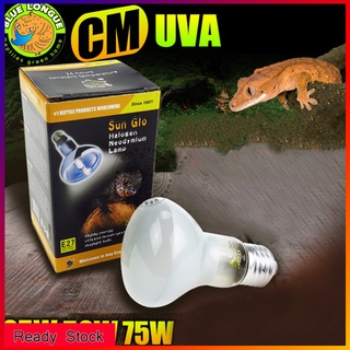 Bóng đèn sưởi ấm 25W/ 50W/ 75W Uva dành cho động vật bò sát