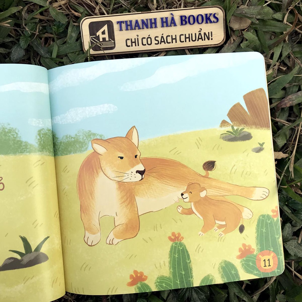 Sách - Thế giới quanh em và Muôn điều kì diệu tặng Sticker và Nametag (Combo 4 quyển) - 0 - 6 tuổi (Dòng sách đọc to)