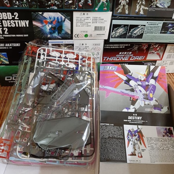 Mô Hình Lắp Ráp Gundam Destiny Hg 1/144