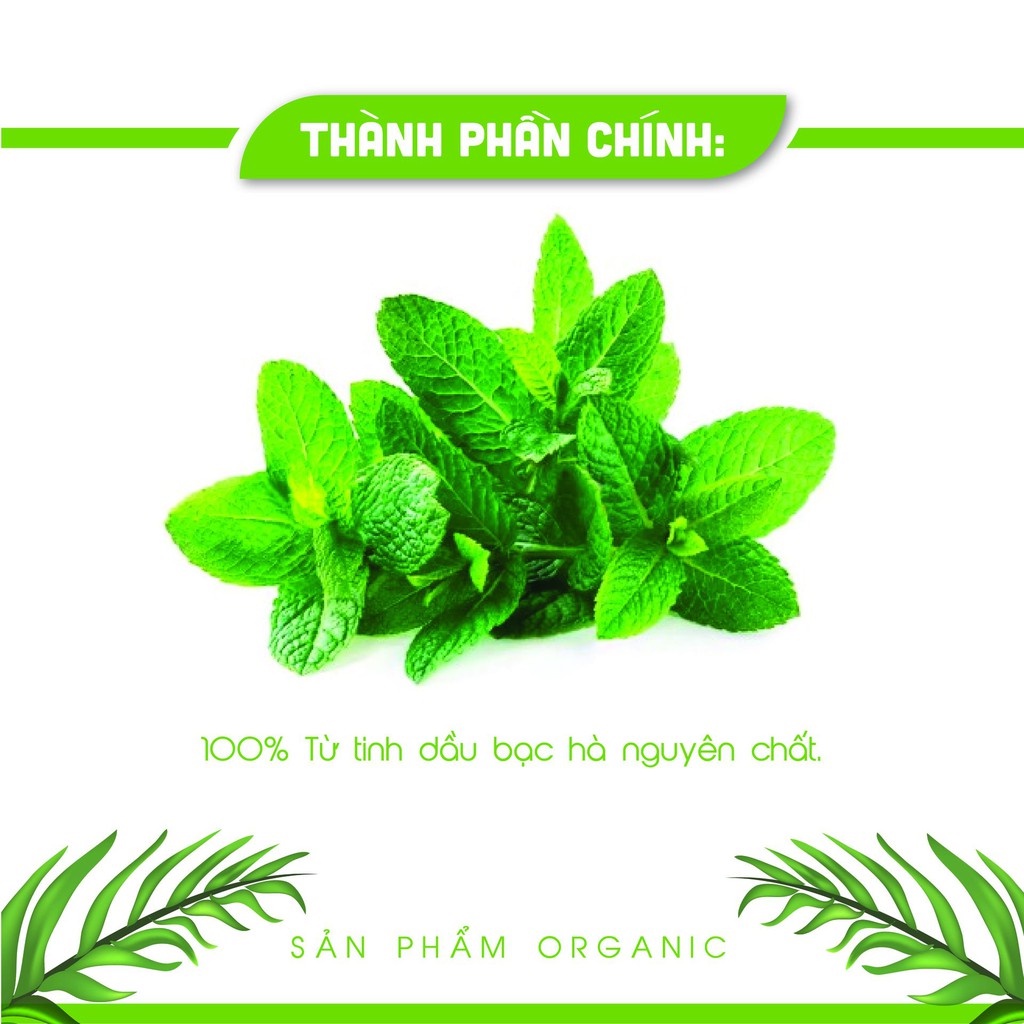 Tinh dầu thiên nhiên Bạc Hà nguyên chất nhập khẩu Ấn Độ, Tinh dầu AN AN thơm phòng 10ml / Đạt GMP - USDA - ISO