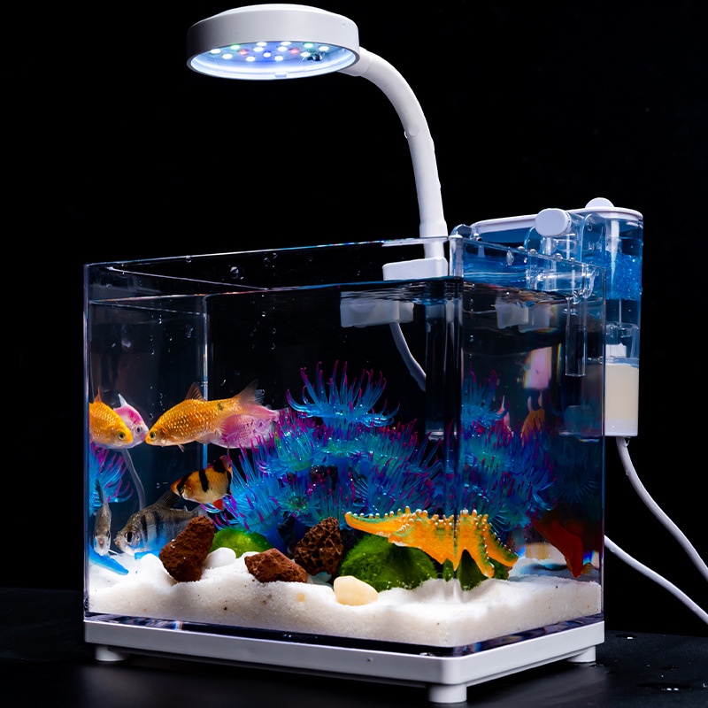 San Hô Silicone Màu Huỳnh Quang Trong Suốt Trang Trí Bể Cá