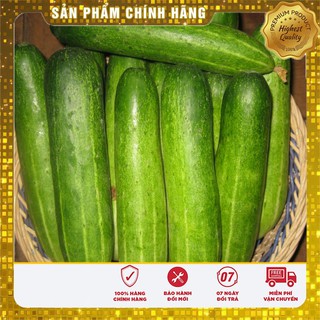Bộ gói hạt giống Dưa chuột nếp ta