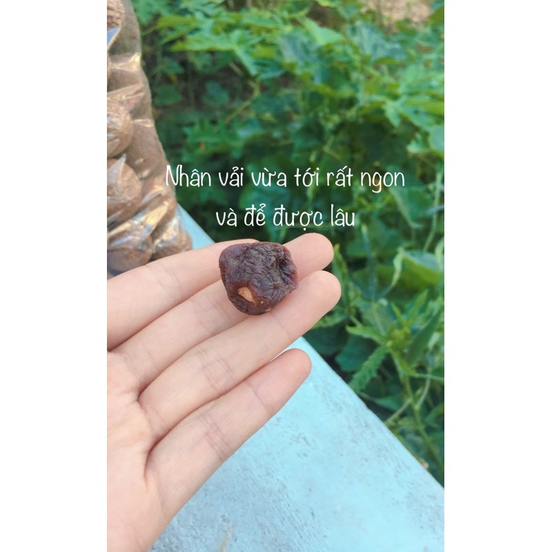 [vụ mới 2021]Vải thiều Thanh Hà sấy khô, vải khô, vải sấy, đặc sản Hải dương | BigBuy360 - bigbuy360.vn