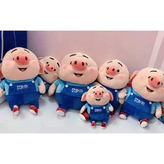 Gấu Bông Lợn Tik Tok Đủ cỡ