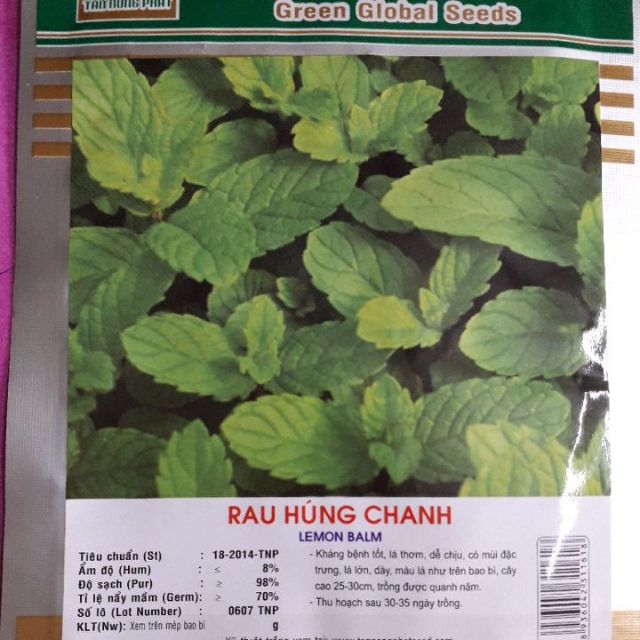 Hạt giống rau húng chanh