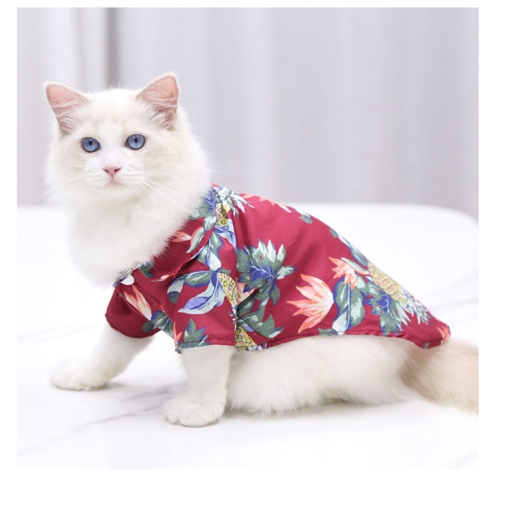 Áo sơ mi phong cách thời trang đi biển cho chó mèo - Hàng chuẩn đẹp như hình