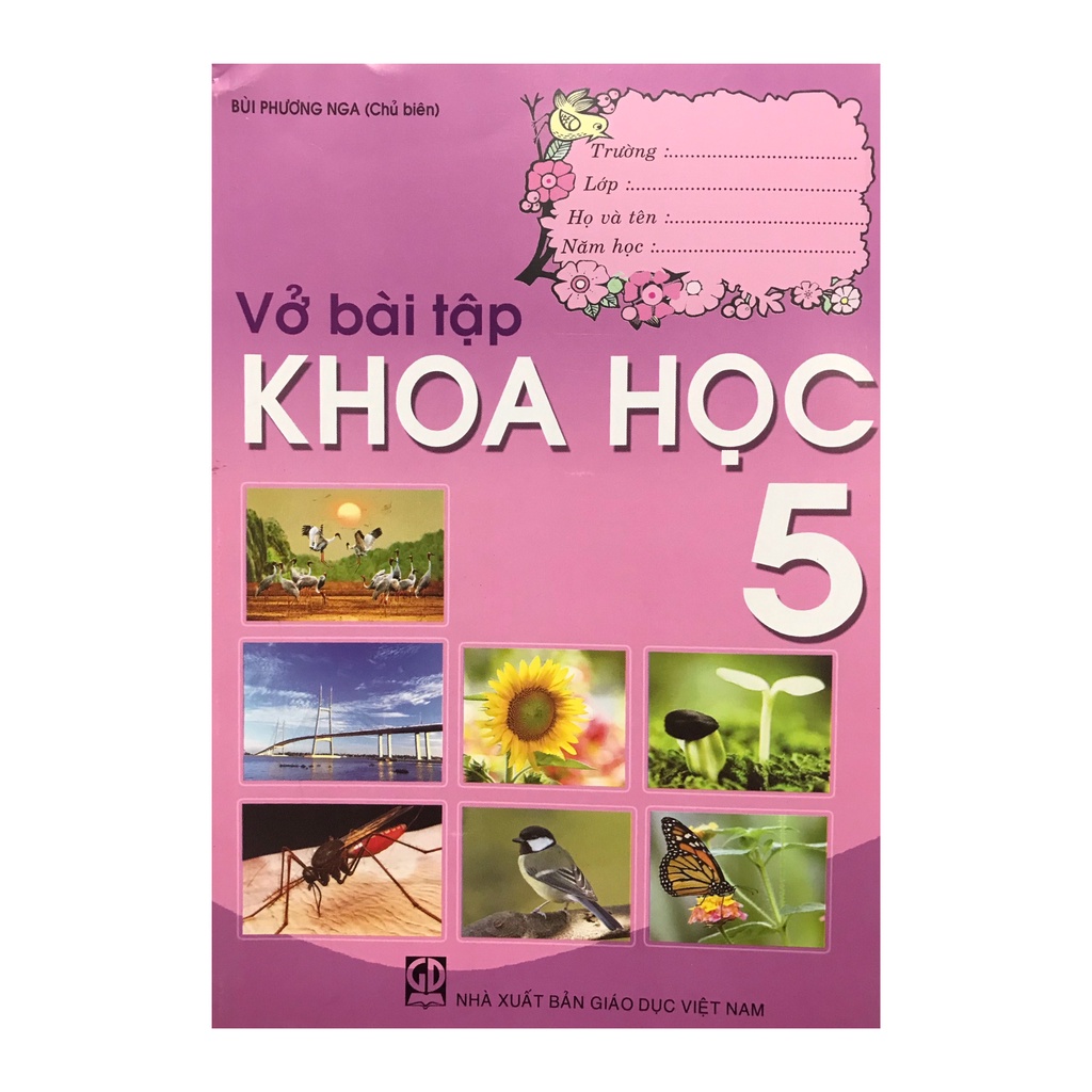 Sách - Vở bài tập khoa học 5 + kèm 1 bút chì