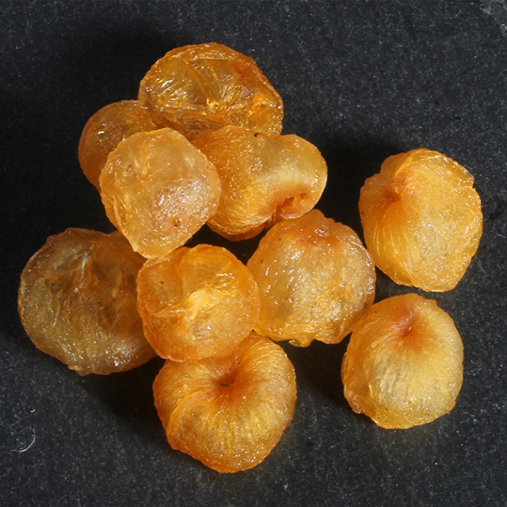 LONG NHÃN 100g - Đông y chấn hưng long