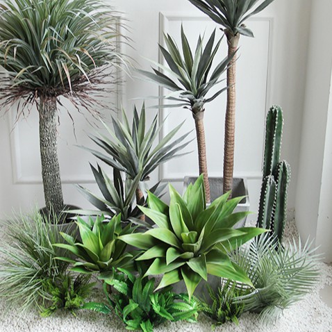 Cây giả Decor - Cây dứa rừng Nam Phi