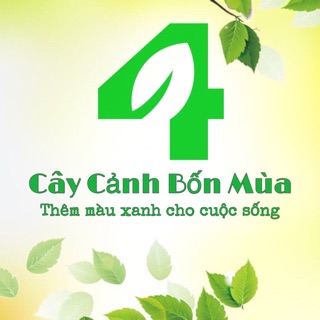 Cây Cảnh Bốn Mùa