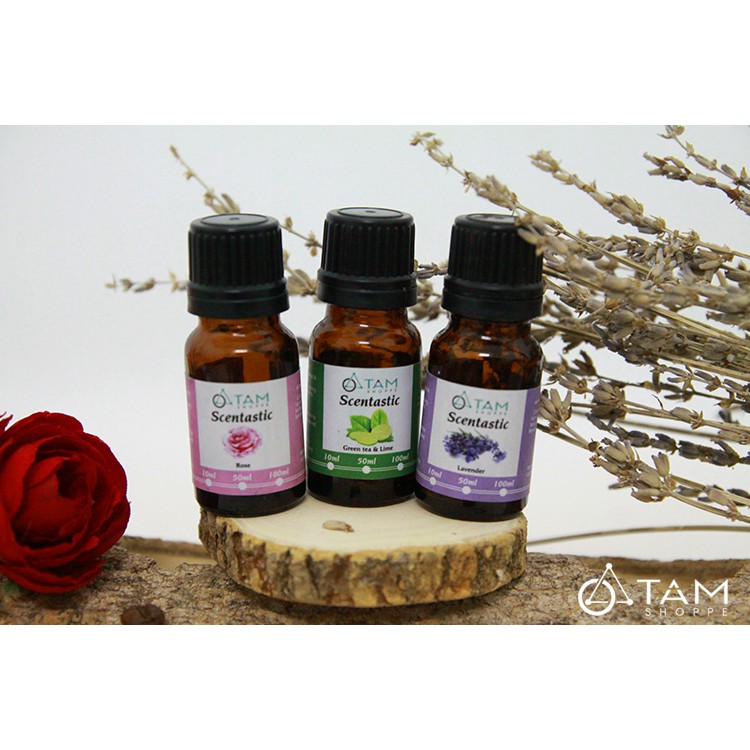 [TD THIÊN NHIÊN] Combo TD02: Bộ 3 chai tinh dầu thiên nhiên 10ml ‪SCENTASTIC kèm hộp gỗ