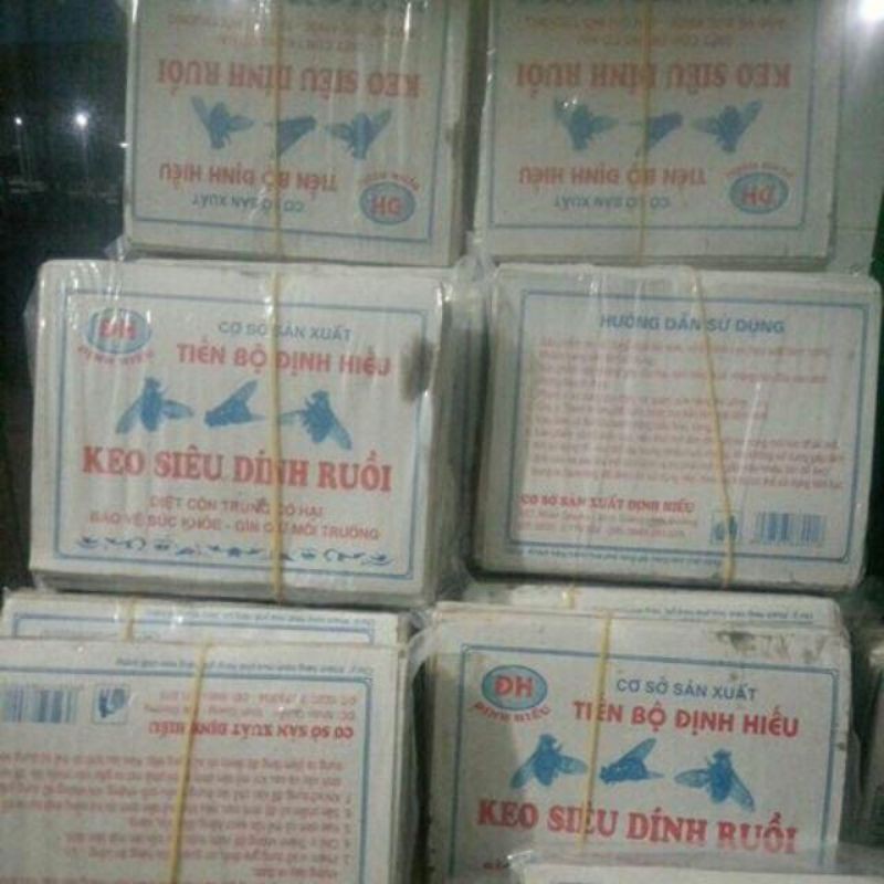 Miếng keo dán dính ruồi 20 miếng