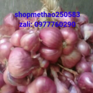 hành tím phi giòn nhà làm