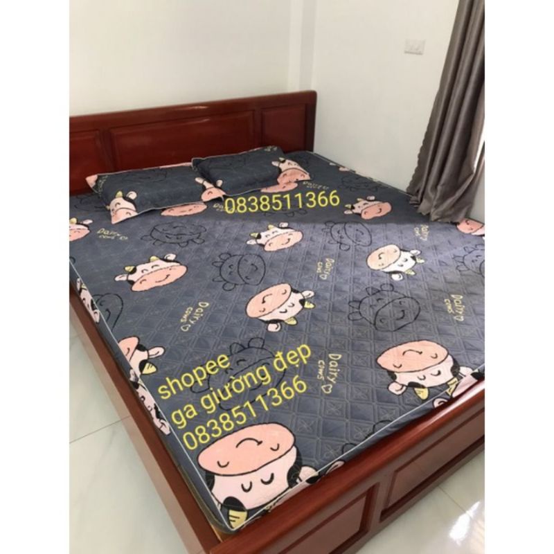 ⛔Ga + 2 vỏ gối trần bông ⛔(nhiều mẫu ), ga chun trần ( FREE SHIP )ga trần bông dày dặn chắc chắn | BigBuy360 - bigbuy360.vn