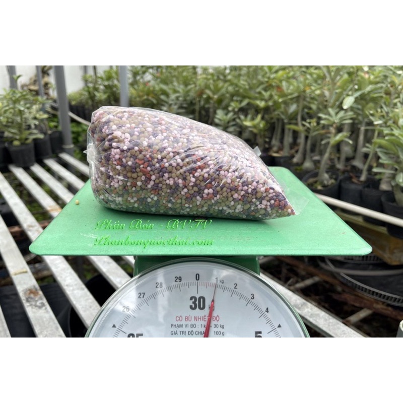 Phân NPK Đầu Trâu 16 16 8 +TE Thế Hệ Mới,Bao 1kg Xúc Từ Bao Lớn 50kg