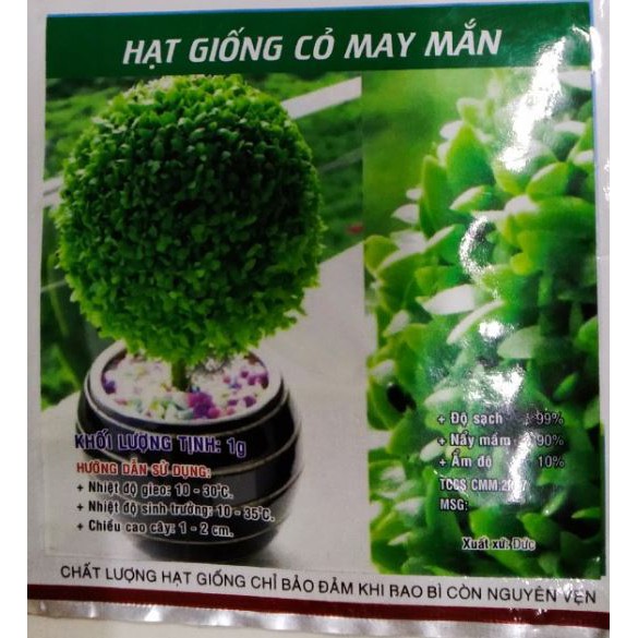 HẠT GIỐNG CỎ MAY MẮN - GÓI 1 GRAM