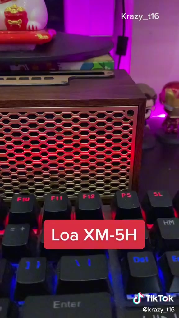 Loa Bluetooth Mini XM-5H Tích Hợp Radio - Loa Mini Vỏ Gỗ Vintage Công Suất Âm Thanh 8W , Âm Thanh HiFi Cực Chill | BigBuy360 - bigbuy360.vn