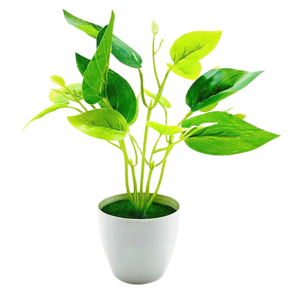 Chậu cây giả 5 kiểu tùy chọn trang trí nhà cửa