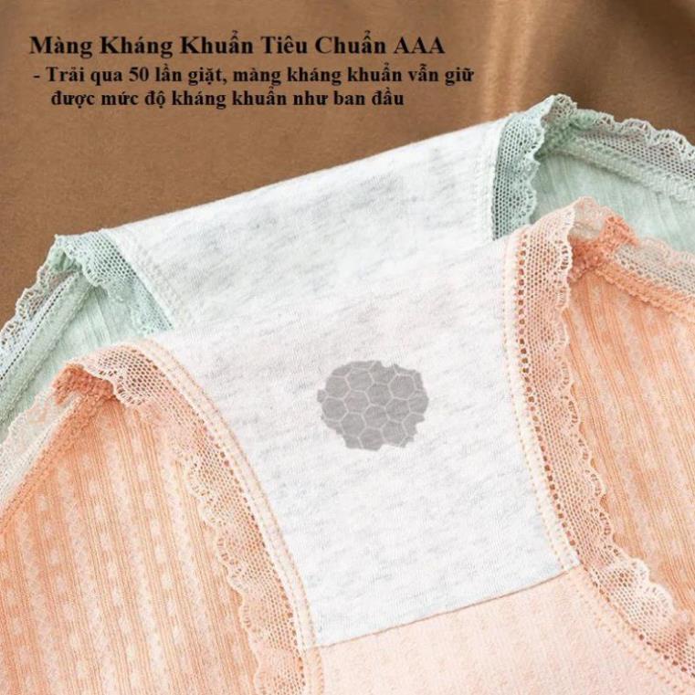 Quần lót nữ cạp cao màng kháng khuẩn thoáng mát chống viêm 530