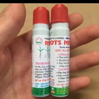 Siêu kích rễ hoa hồng
