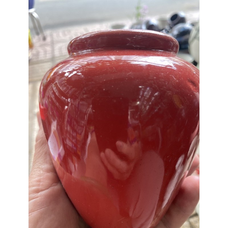 Lu bia mầu vàng và cam đã ra mắt