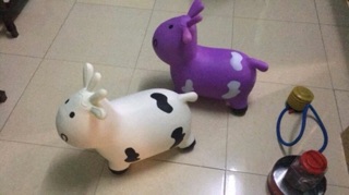 THÚ NHÚN LOẠI CÓ NHẠC