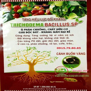 Sale NẤM ĐỐI KHÁNG TRICHODERMA-BACILLUS.SP GÓI 1KG chất lượng.