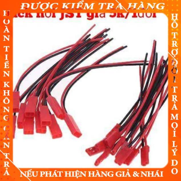 Jack nối 2 JST & SM2P - 10cm ( 1 đôi ) othienp