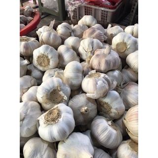 1kg tỏi tầu tép to trắng đẹp giá rẻ phù hợp với nhà hàng quán ăn