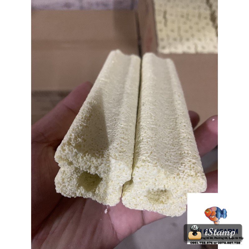 Sứ thanh vàng sứ hoa mai 15cm x 3.8cm loại lớn