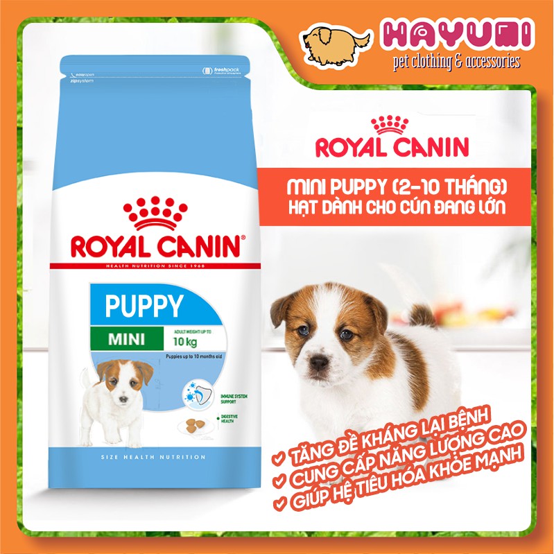 [TÚI 0.8KG] HẠT KHÔ ROYALCANIN MINI PUPPY - DÀNH CHO CHÓ GIỐNG NHỎ - TỪ 2-10 THÁNG TUỔI