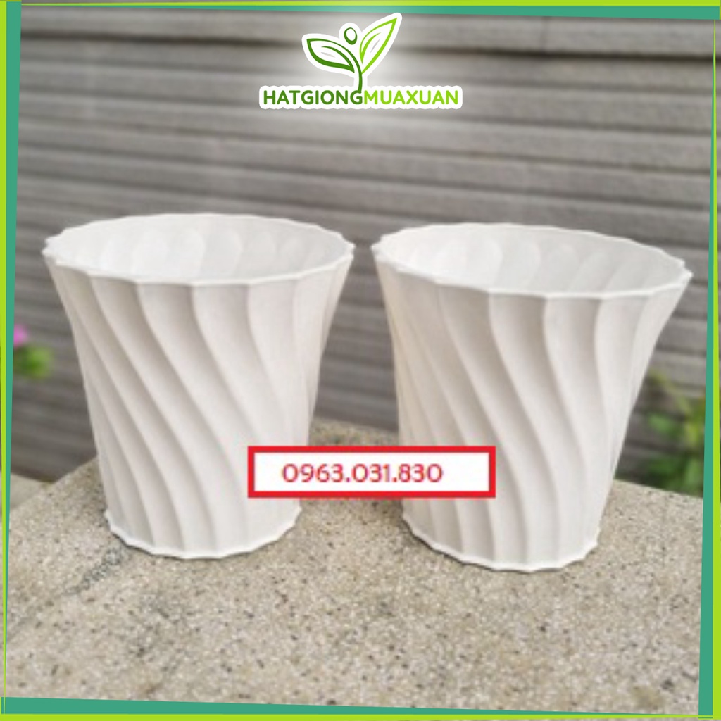 Chậu Khía nhựa màu trắng trồng hoa xinh xắn kt 26x24cm