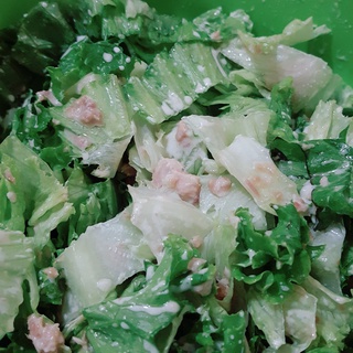 Cá ngừ ngâm dầu Tony Tuna