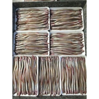 1kg Cá sụn sịn (hoả tốc 2h tphcm)