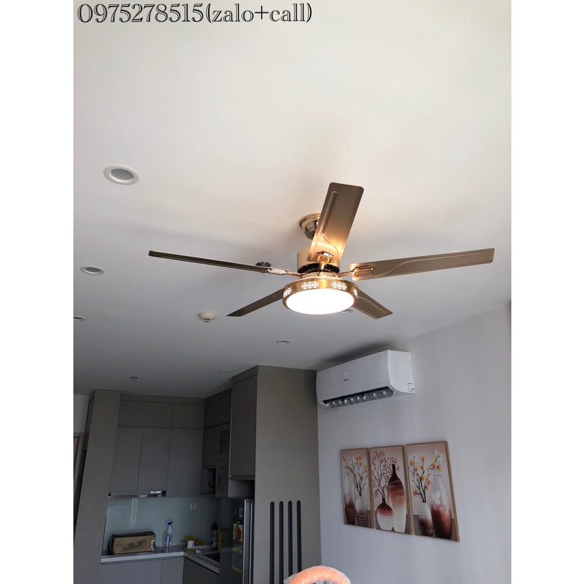 Quạt Trần DC Inverter BK6-GOLD Promax Lõi Đồng Full 6 Cấp Độ Gió, 3 Chế Độ Đèn LED Lắp Cho Mọi Không Gian