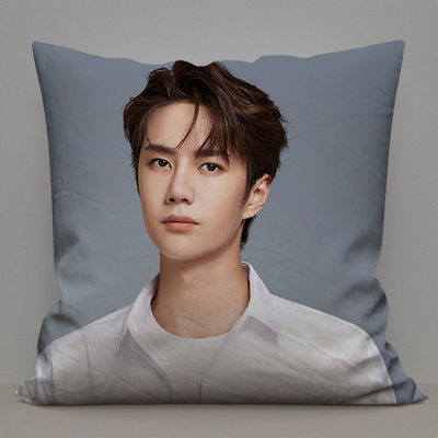 Gối IN HÌNH Vương Nhất Bác gồm cả vỏ và ruột chất đẹp tiện lợi idol thần tượng cpop