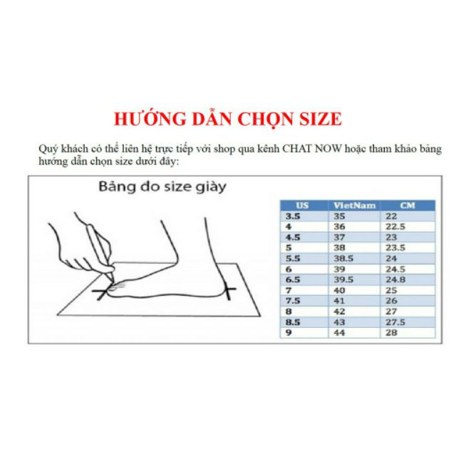 Giày cầu lông, bóng chuyền PR19001 chuyên nghiệp