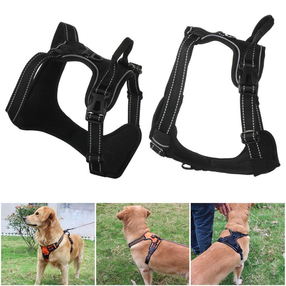 Áo Vest Kèm Dây Dắt Đi Dạo Tiện Dụng Dành Cho Chó Cưng