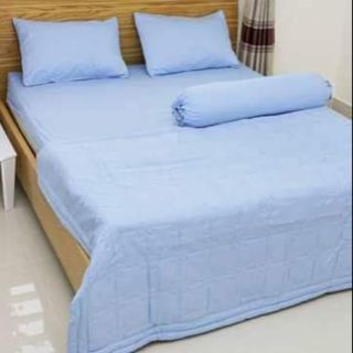 Drap cotton màu trơn Thắng Lợi.