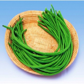 10 Gram Hạt giống đậu đũa